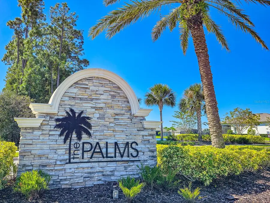 3106 Borassus Drive, New Smyrna Beach, FL 32168 - Image #2