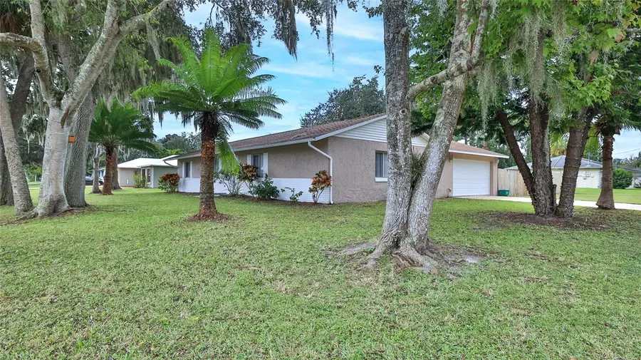 1604 Umbrella Tree Drive, Edgewater, FL 32132 - Image #3