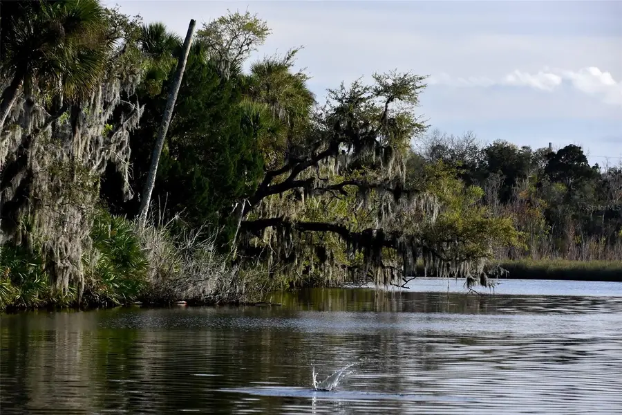 1783 Taylor Road, Port Orange, FL 32128 - Image #2