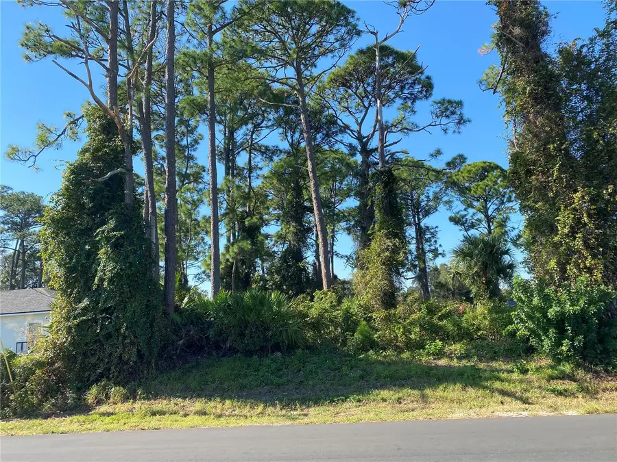 2512 Fern Palm Drive, Edgewater, FL 32141 - Image #2