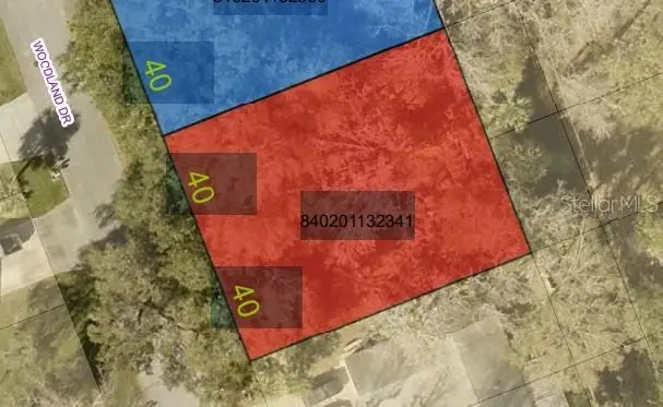 2933 Woodland Drive, Edgewater, FL 32141 - Image #3