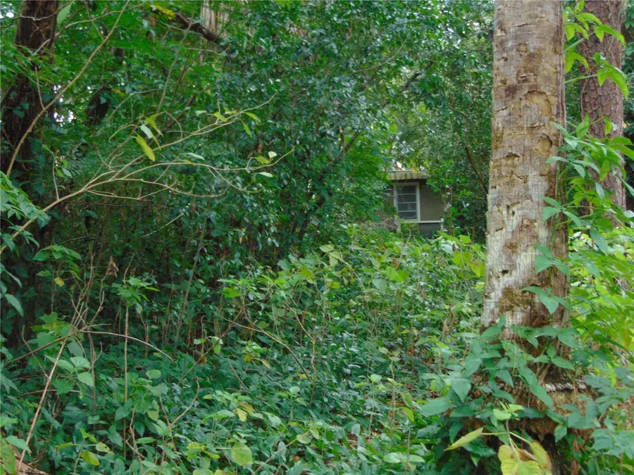 Fairway Avenue, Eustis, FL 32726 - Image #3