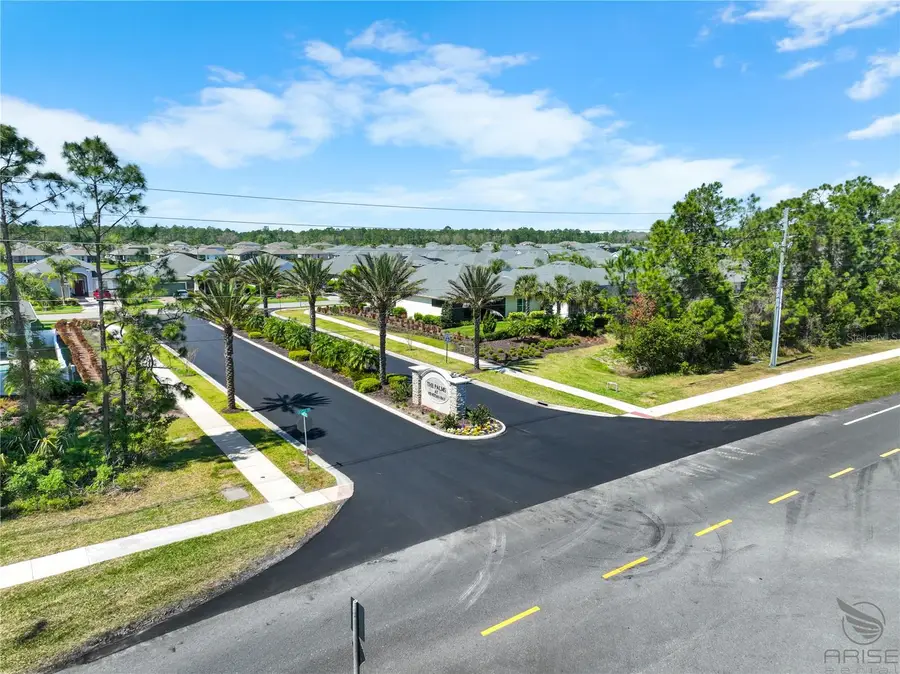 3048 Borassus Drive, New Smyrna Beach, FL 32168 - Image #3