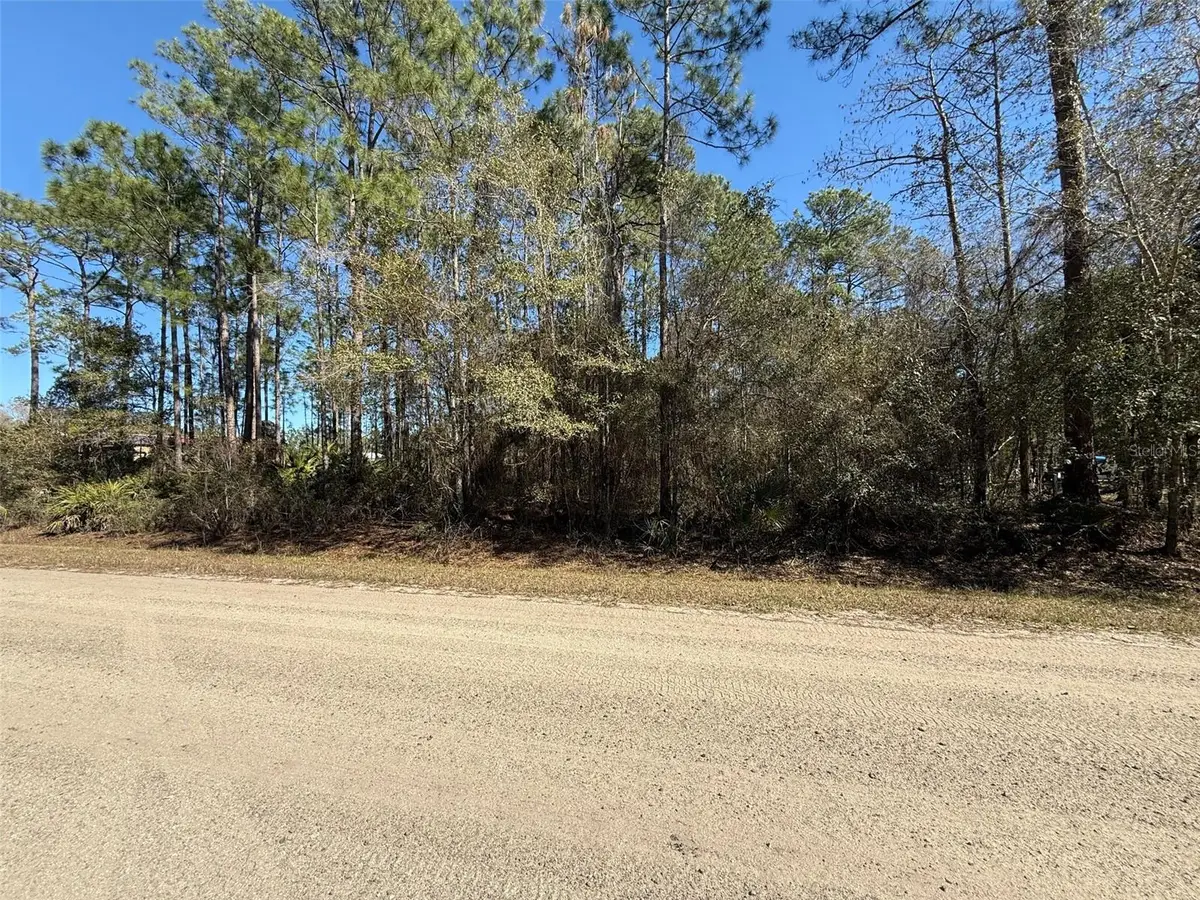 1573 Laurel Avenue, Bunnell, FL 32110 - Image #1