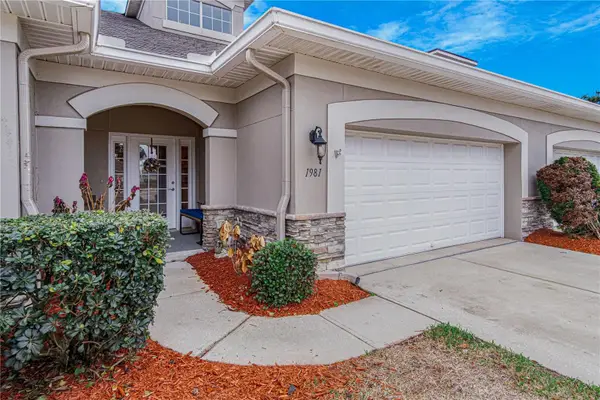 1981 Turnbull Lakes Drive, NEW SMYRNA BEACH, FL 32168