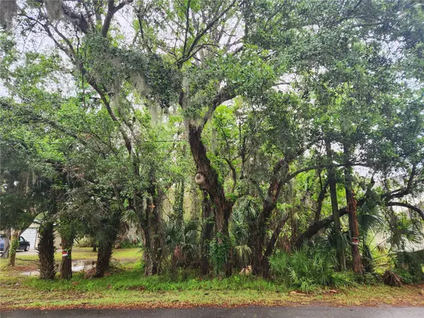 Brookline Avenue, NEW SMYRNA BEACH, FL 32168