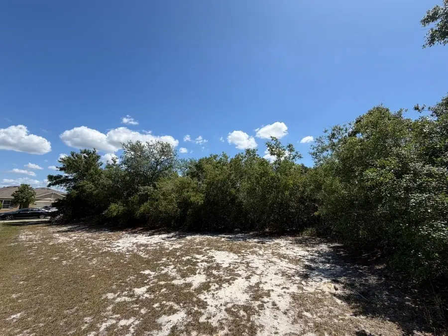 lOTS 37 & 38 Katmai Drive, Orange City, FL 32763 - #3