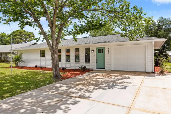2527 Sabal Palm Drive, EDGEWATER, FL 32141