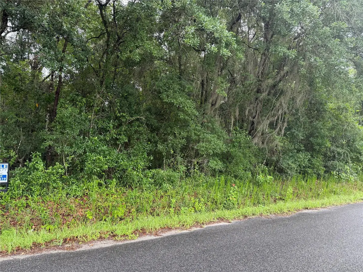 241 Dog Branch Road, East Palatka, FL 32131 - #1