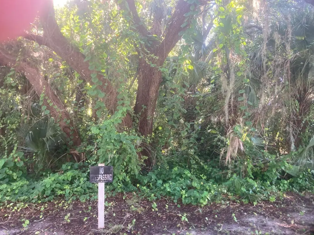 0 Nancy Street, Oak Hill, FL 32759 - #1