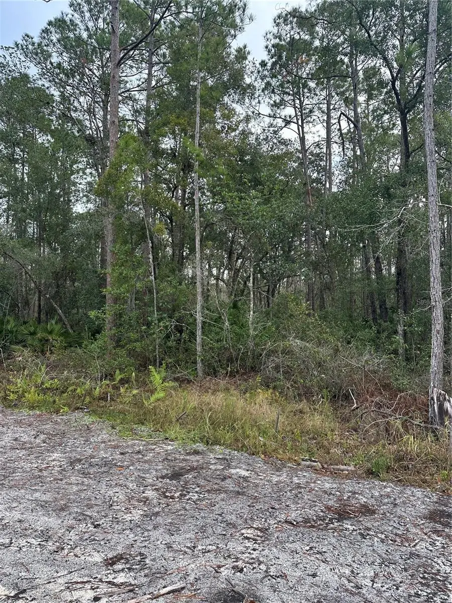 2301 10th Avenue, Deland, FL 32724 - #2