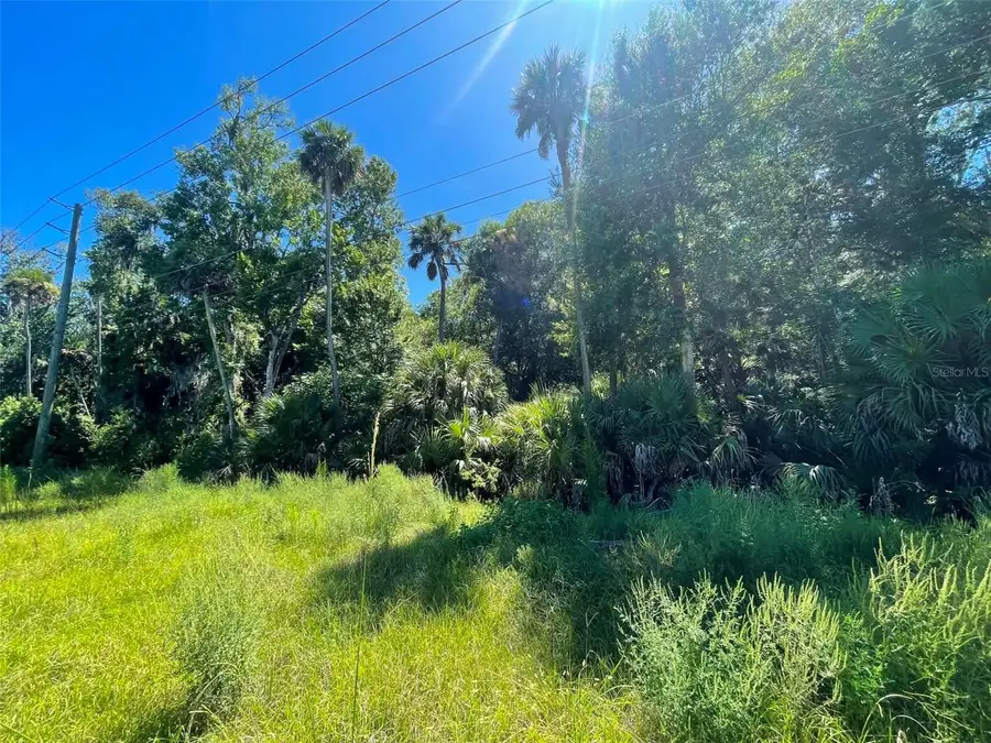 Old Mission Road, New Smyrna Beach, FL 32168 - #2