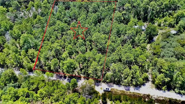 121 Pear Street, WELAKA, FL 32193