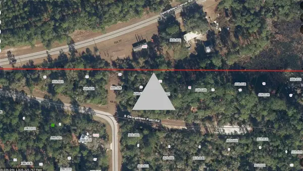 116 S Georgetown Point Road, GEORGETOWN, FL 32139