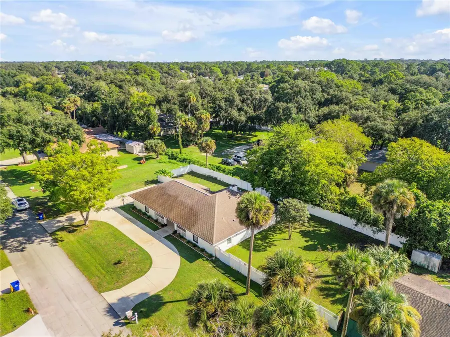 3205 Mango Tree Drive, Edgewater, FL 32141 - #2