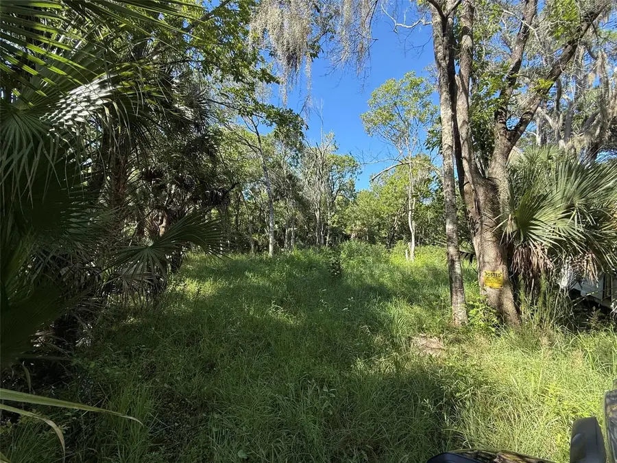 1785 Maplewood Drive, Edgewater, FL 32132 - #3