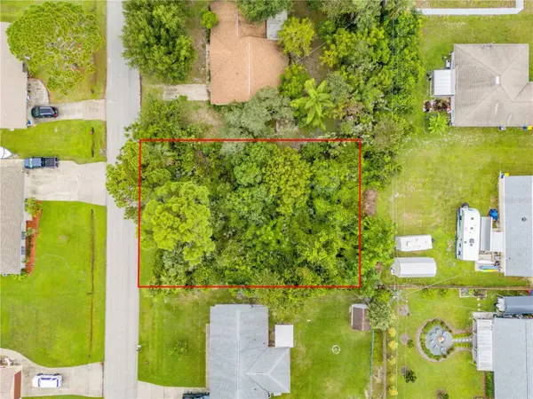 Umbrella Tree Drive, EDGEWATER, FL 32132