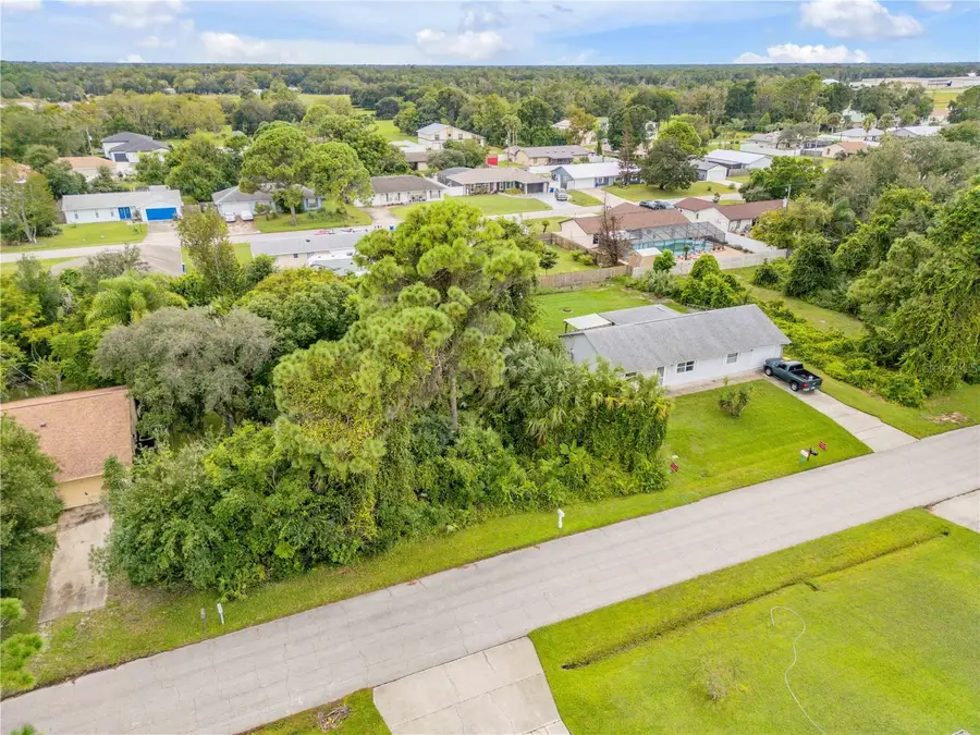 Umbrella Tree Drive, Edgewater, FL 32132 - #3