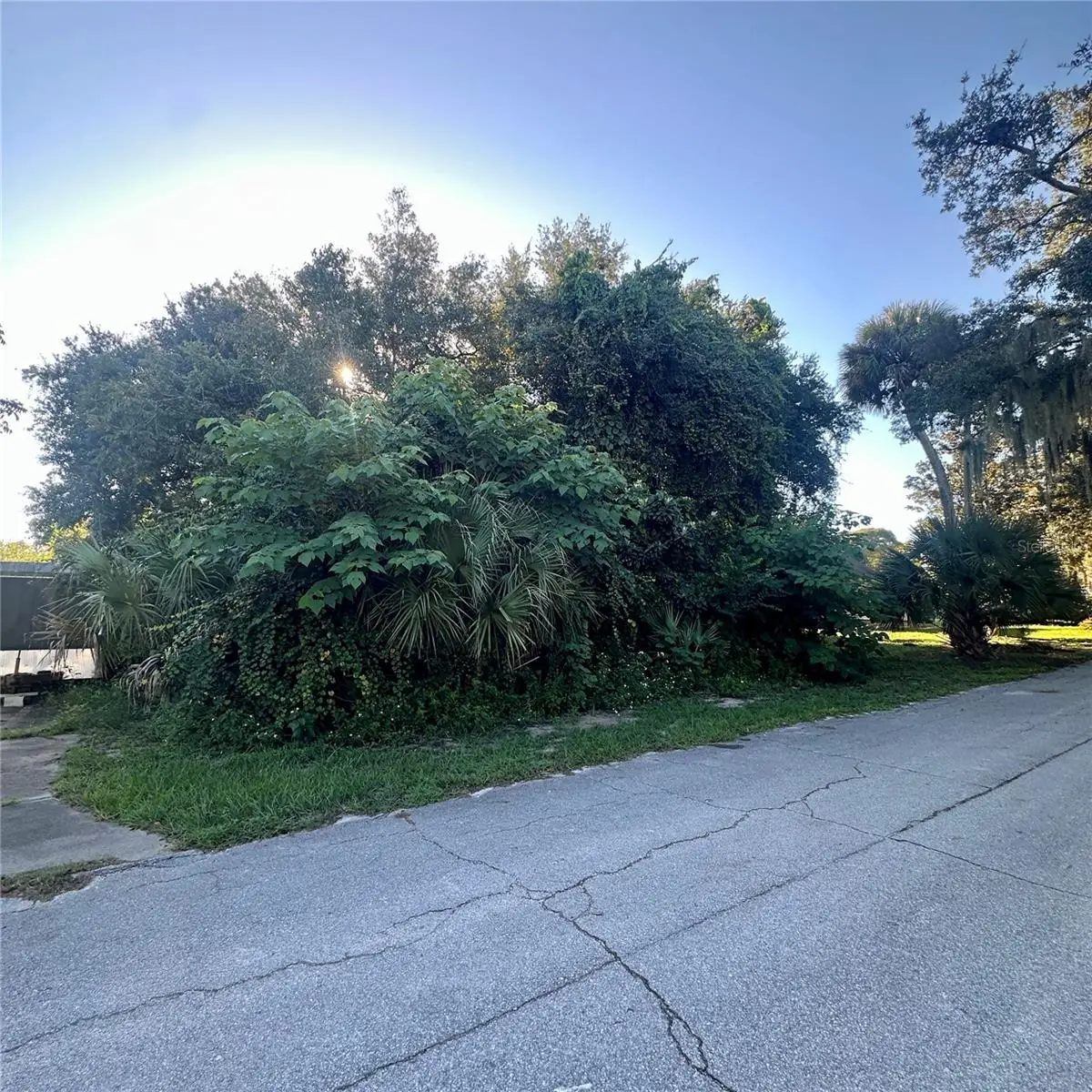 0 Oak Street, Oak Hill, FL 32759 - #1
