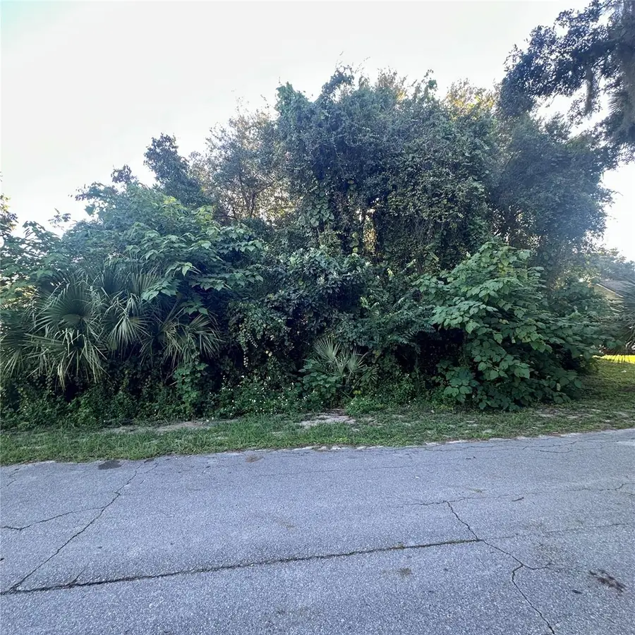 0 Oak Street, Oak Hill, FL 32759 - #2