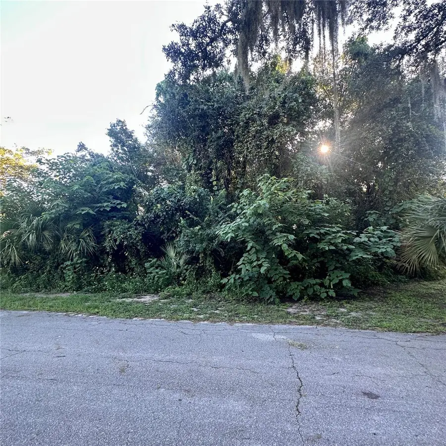 0 Oak Street, Oak Hill, FL 32759 - #3