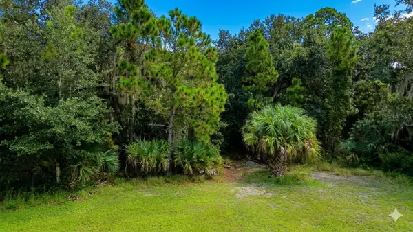 Address Withheld By Seller, OAK HILL, FL 32759