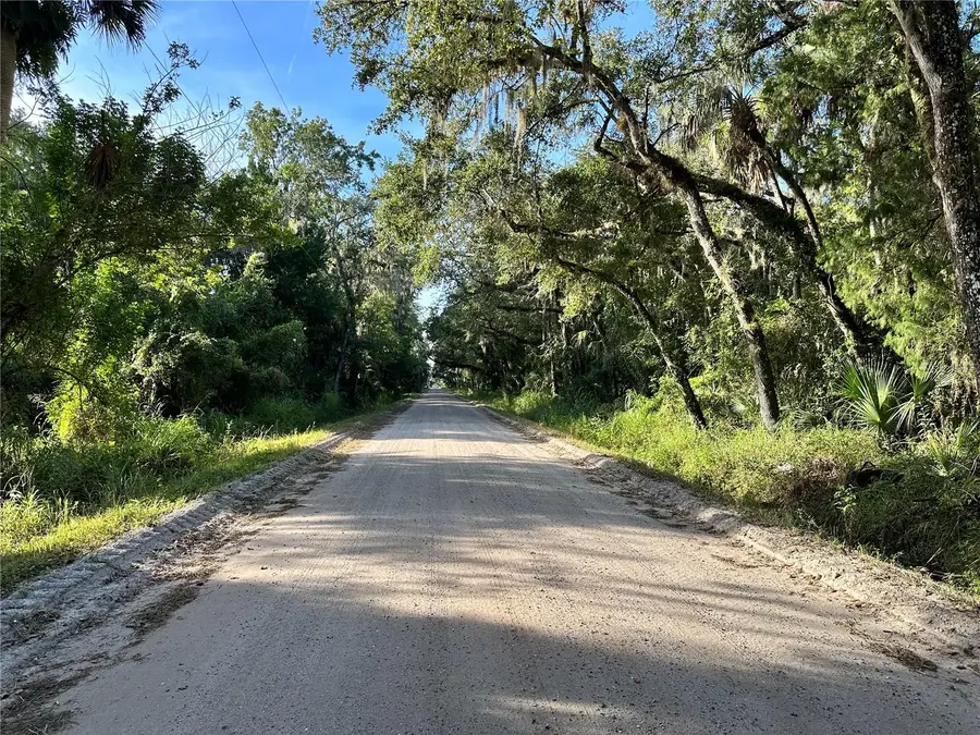 525 Old Dixie Lane, Oak Hill, FL 32759 - #2