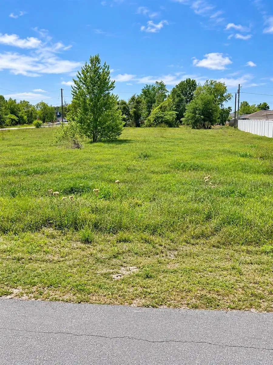 0 Walnut Run, Ocala, FL 34480 - #2