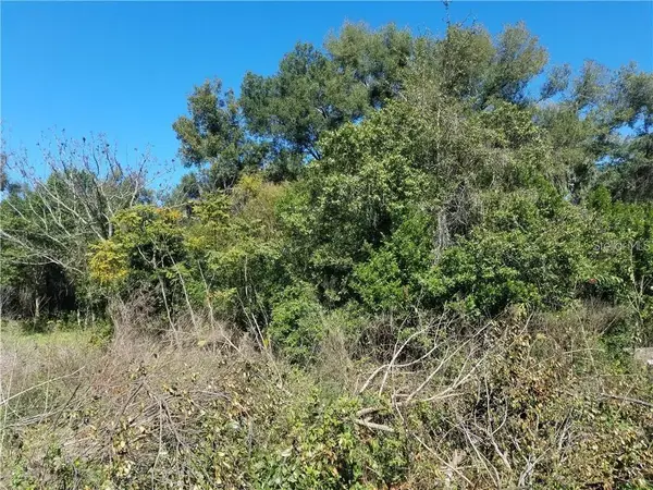 5 Lenox Court, DELAND, FL 32720