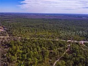 International Drive, Orlando, FL 32821 - Image #3