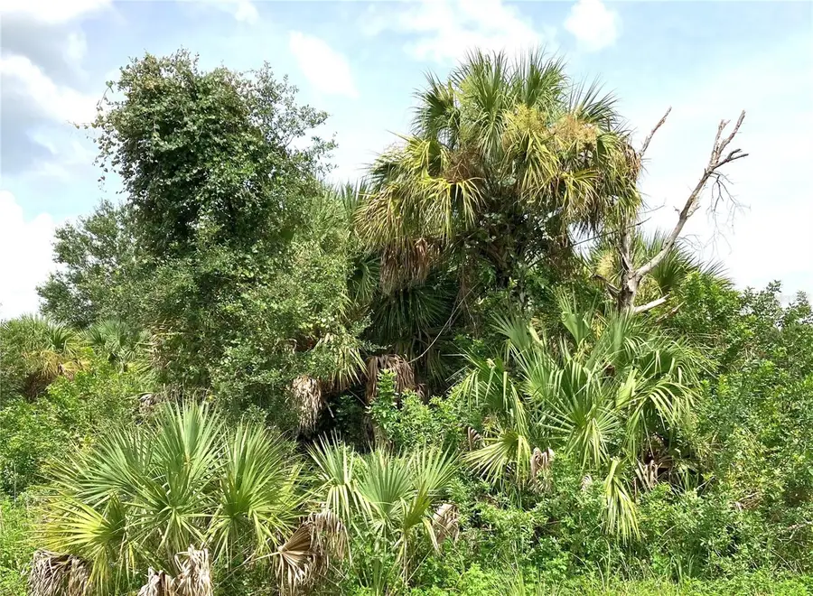 Fiveleaf Road, North Port, FL 34288 - Image #2