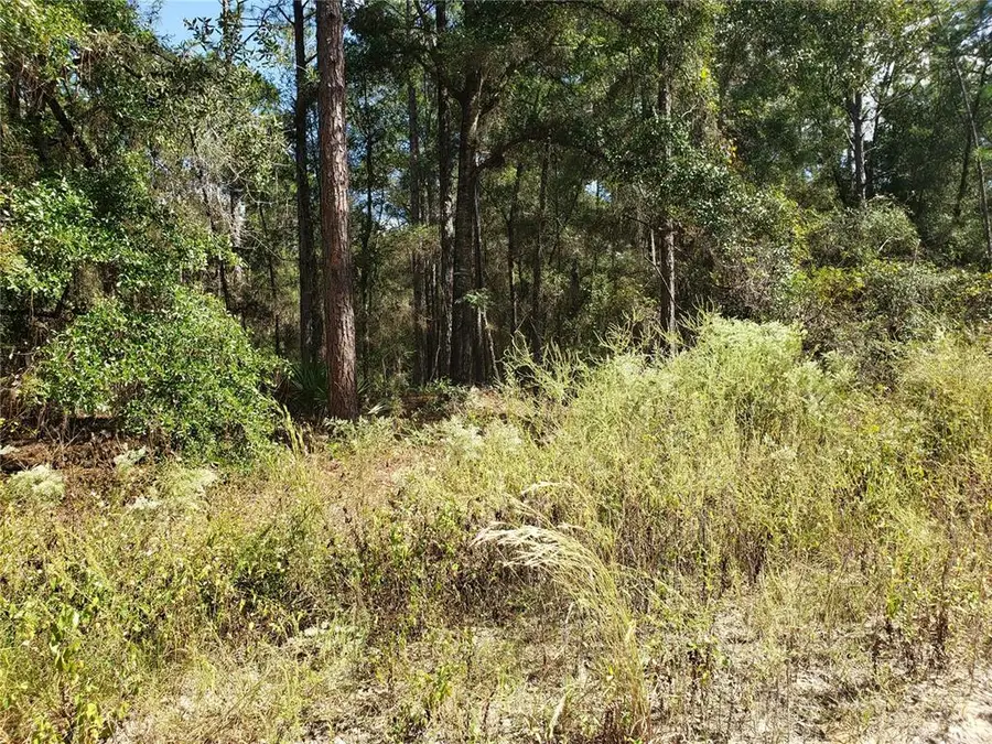 SW 38th Street Road, Ocala, FL 34481 - #2