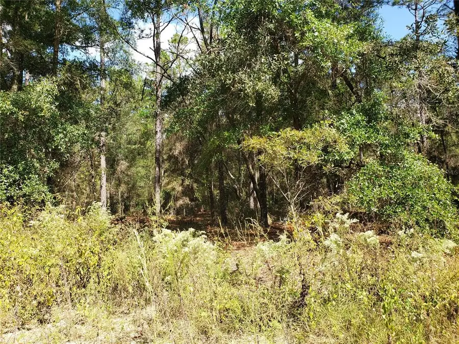 SW 38th Street Road, Ocala, FL 34481 - #3
