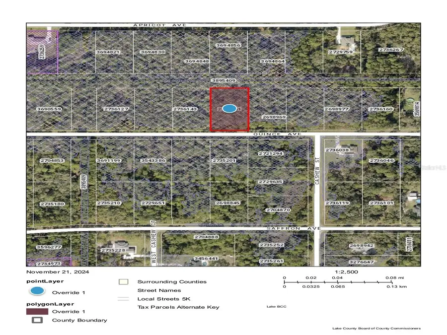 Quince Avenue, Eustis, FL 32736 - Image #3