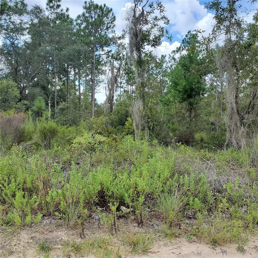 Ne 66th Lane, Williston, FL 32696 - Image #3