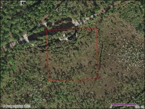 Holopaw Groves Road, Saint Cloud, FL 34771 - Image #1