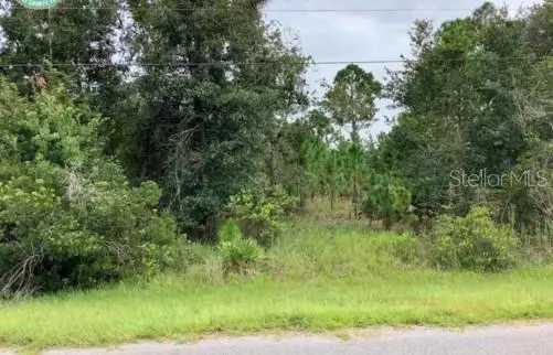 0 Starry Street, Orlando, FL 32833 - Image #3