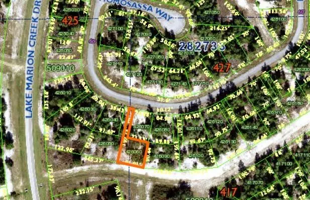 1352 Homosassa Drive, Poinciana, FL 34759 - #1