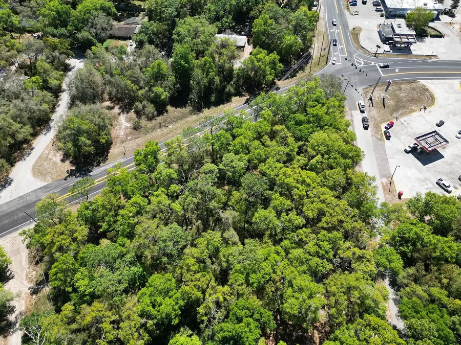 Niles Street, Mount Plymouth, FL 32776 - Image #2