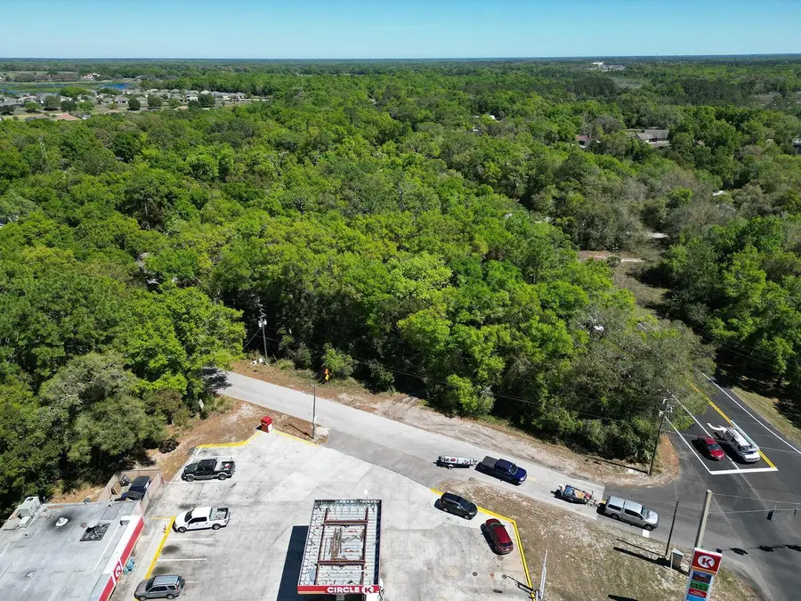 Niles Street, Mount Plymouth, FL 32776 - Image #3