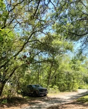 0 Garden Street, Deland, FL 32720 - Image #3