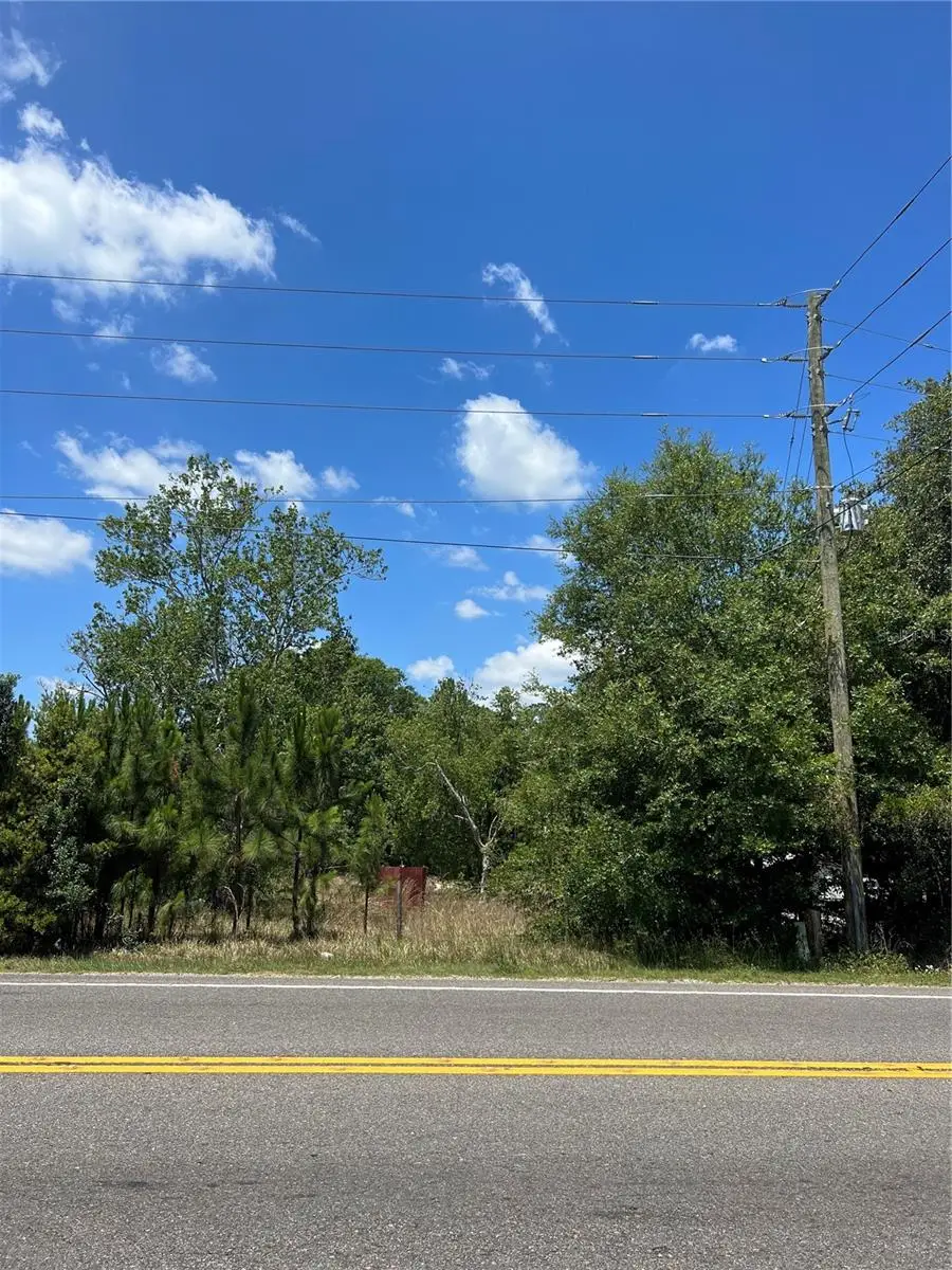 2519 State Road 33, Clermont, FL 34714 - Image #3