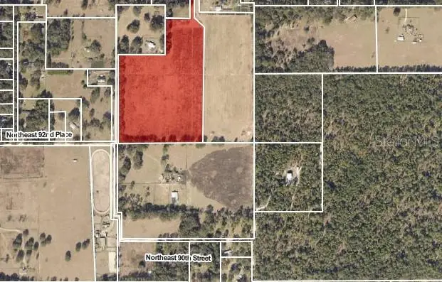 4286 NE 97th Street Road, Anthony, FL 32617 - #3