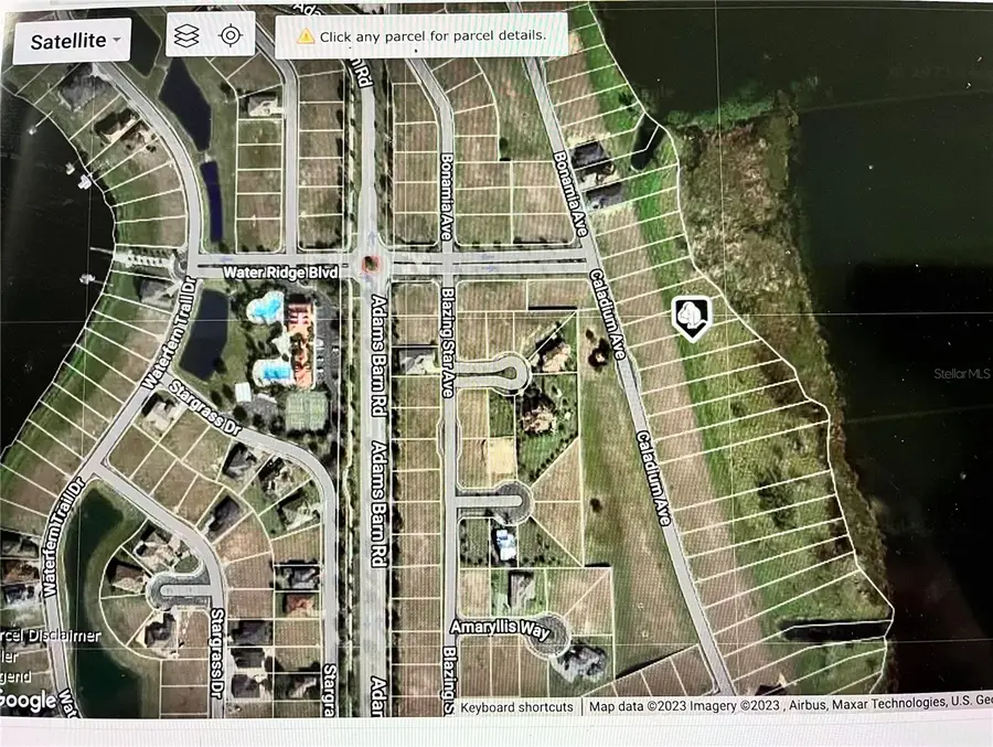 344 Caladium Ave, Lake Alfred, FL 33850 - Image #3