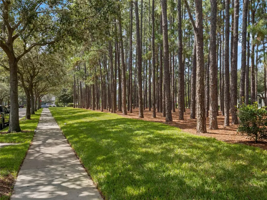 7011 Nobleton Drive, Windermere, FL 34786 - Image #2