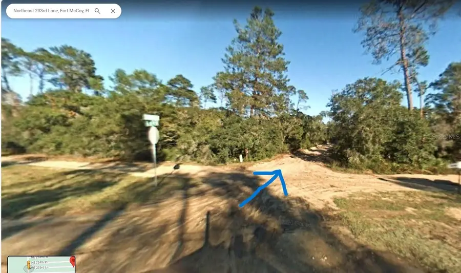 0 Ne 233rd Lane, Fort McCoy, FL 32134 - Image #3