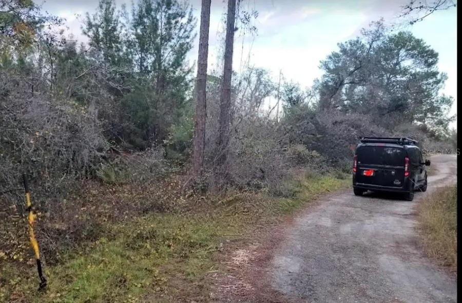 4606 Piedmont Avenue, Sebring, FL 33875 - Image #3