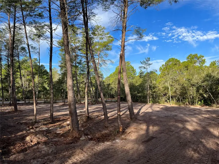 Fir Street, Eustis, FL 32736 - Image #2