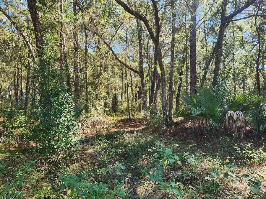 Markham Woods Road, Longwood, FL 32779 - Image #2