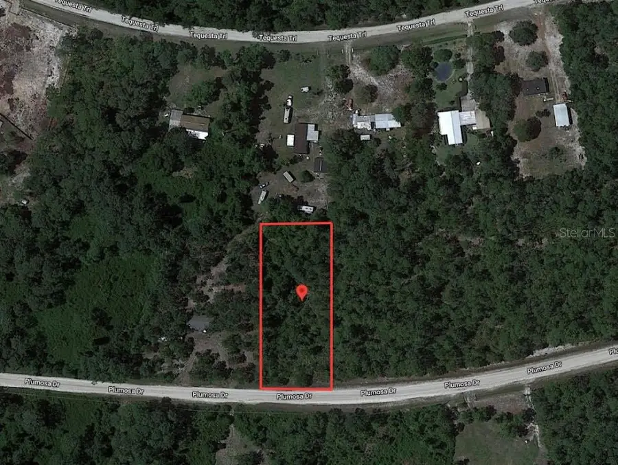 224 Plumosa Drive, Georgetown, FL 32139 - Image #2